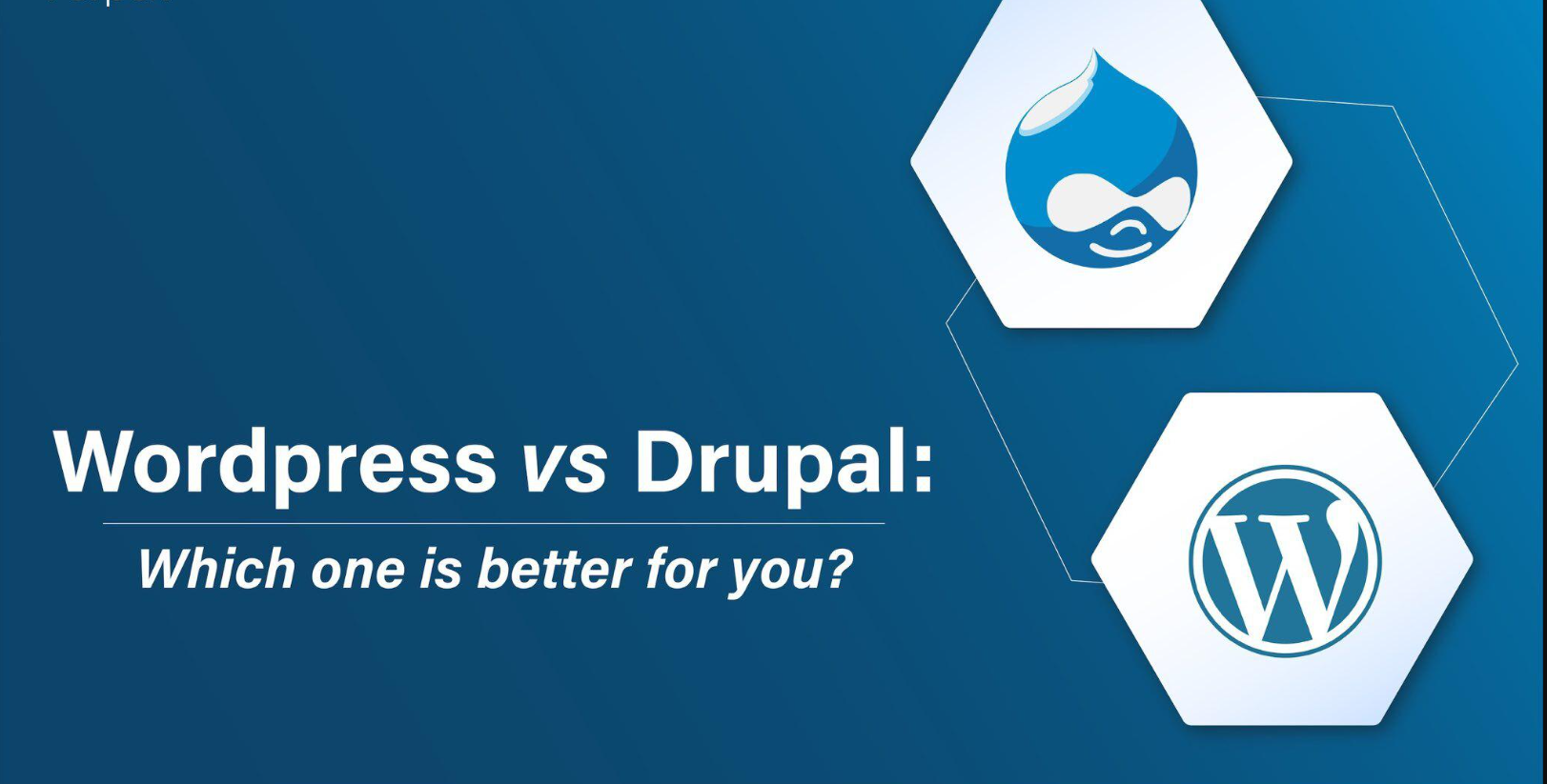 WordPress and Drupal: How to Choose the Best CMS for Your Business