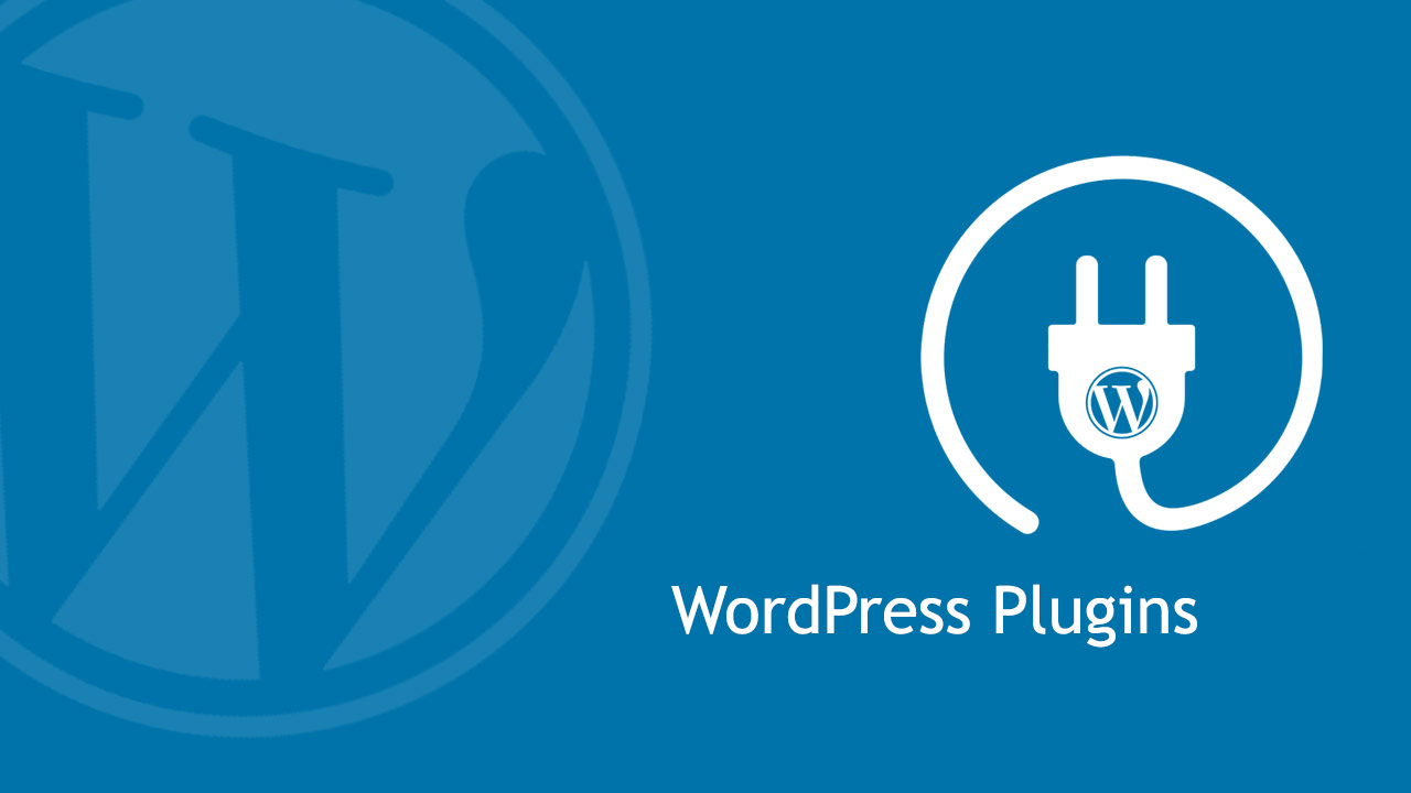 The WordPress plugins