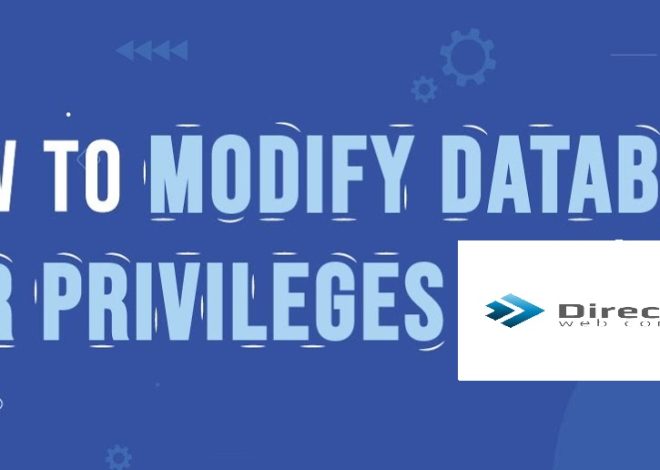 How to Modify Database User Privileges in Directadmin ?