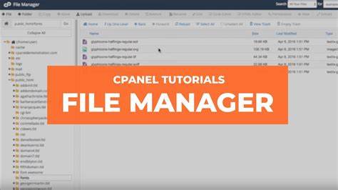 How to Use File Manager in cPanel for Website Management